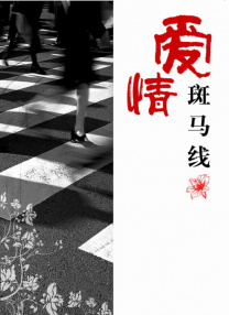 久久久久久综合成人精品